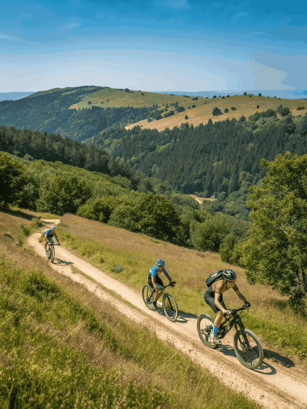 A dynamic shot of a caniVTT team navigating a challenging mountain bike trail, emphasizing the skill and coordination required for this activity. The backdrop features scenic mountain views.
